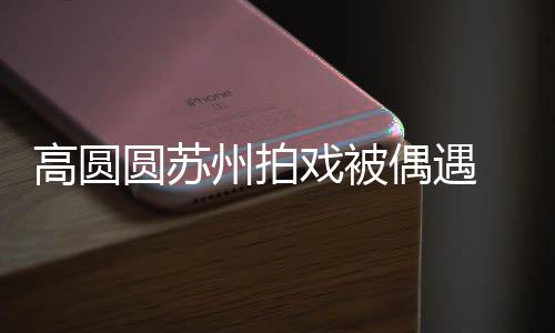 高圆宝宝爱圆苏友的戏被州拍赞网偶遇好可 夸